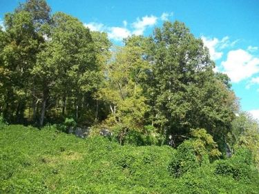 8888 Hales Fork Road, Dewitt, KY 40930