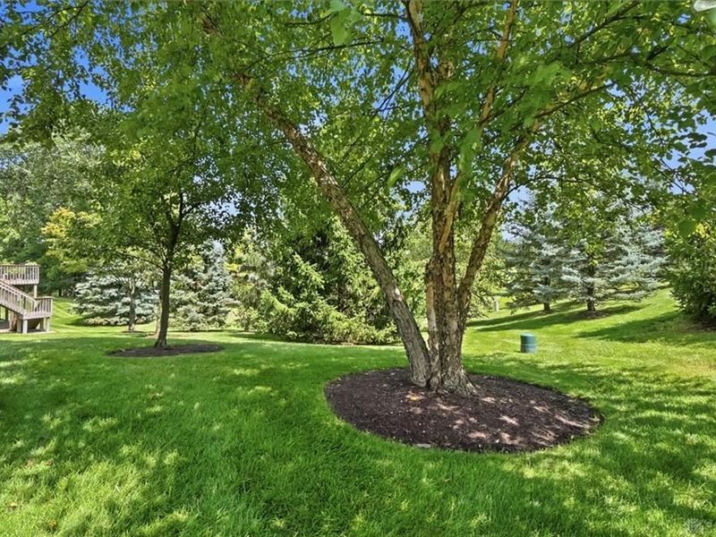 6790 Rosezita, Miami Township, OH Photo 29