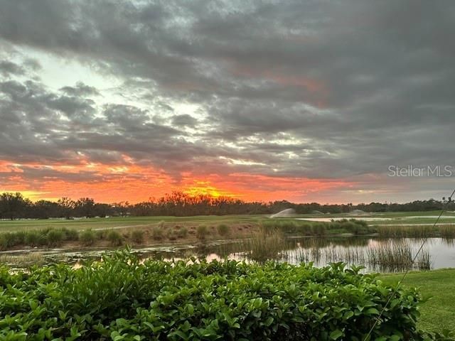 6942 Woodmore Terrace, Lakewood Ranch, FL 34202 Photo