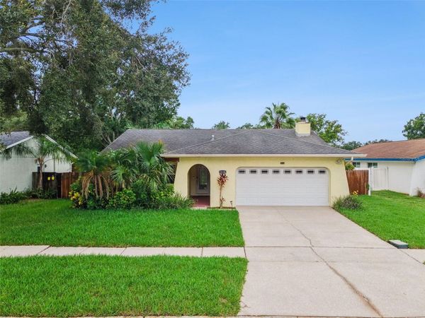 11606 PAINTED HILLS LANE , TAMPA, FL 33624