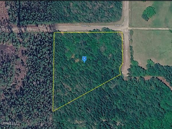 27025 Deer Lane, Perkinston, MS 39573