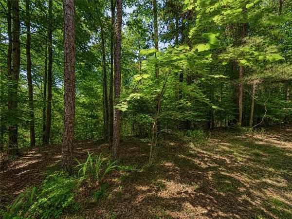 1652 Sable Court , Talking Rock, GA 30175