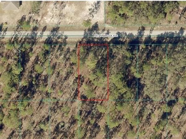 1814-007-013 NW Shamrock AVE , DUNNELLON, FL 34431