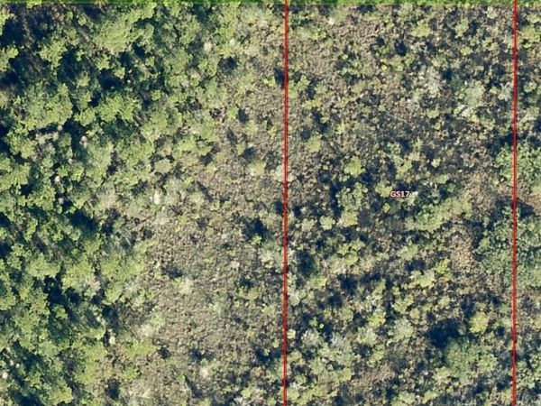 0 Salyers Road, Groveland, FL 34736