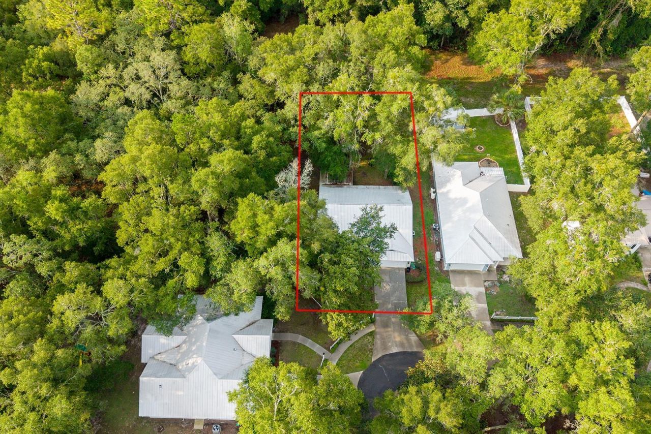 7250 Cardinal Trail, Fanning Springs, FL 32693 Photo