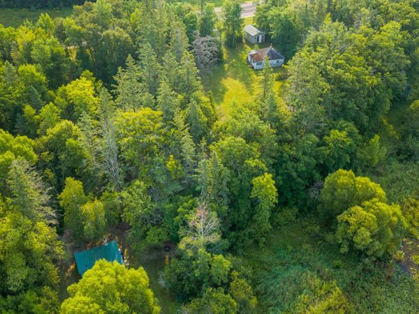 18421 Irvine Avenue NW, Bemidji, MN 56601
