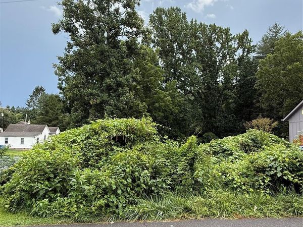 00000 Duckworth Avenue , Brevard, NC 28712