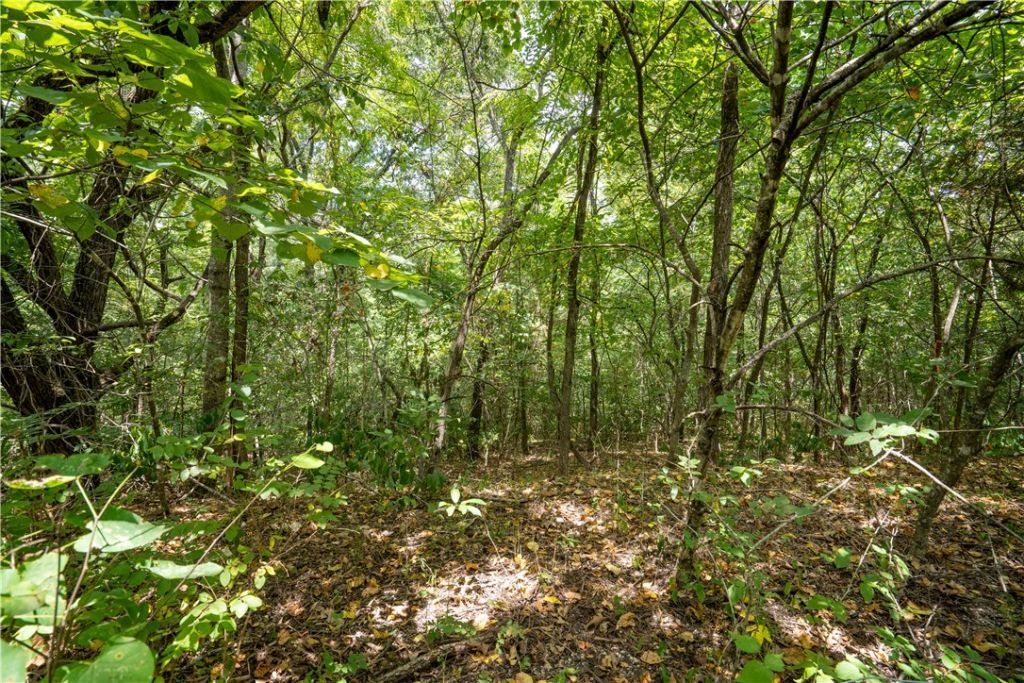 Ashdown Lane, Bella Vista, AR 72714 Main Photo