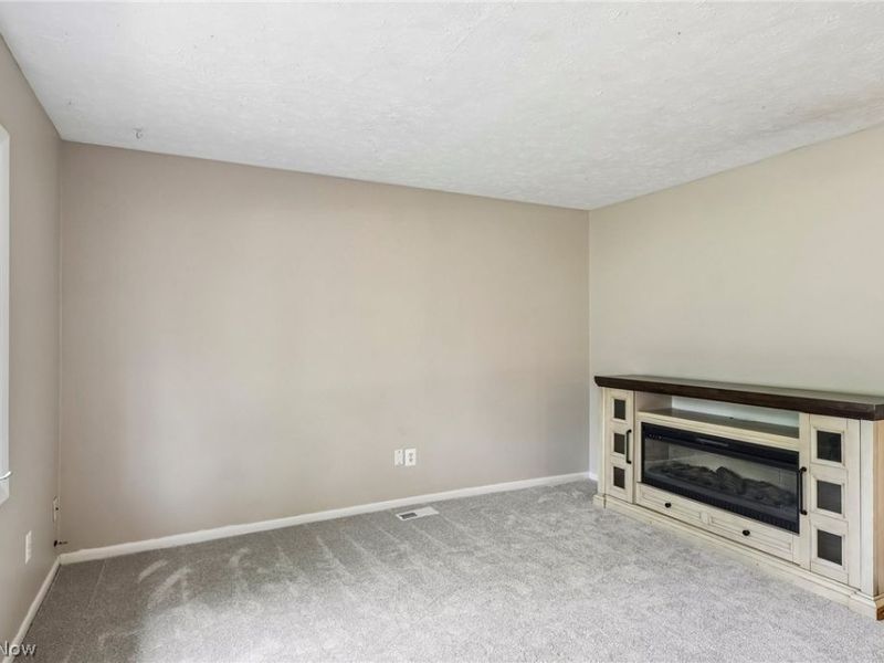 8278 Dallas Drive, Mentor, OH 44060 Photo 10