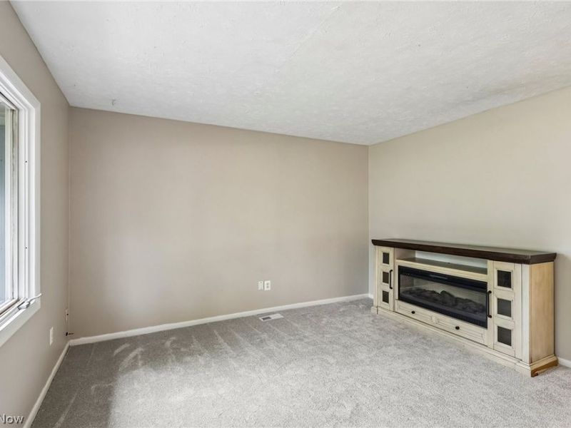 8278 Dallas Drive, Mentor, OH 44060 Photo 11