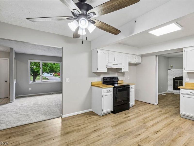 8278 Dallas Drive, Mentor, OH 44060 Photo 16