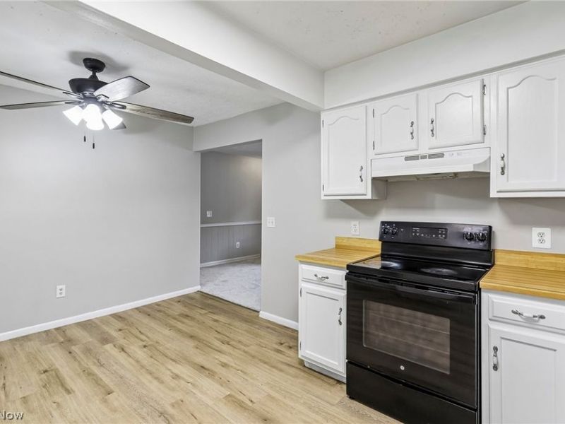 8278 Dallas Drive, Mentor, OH 44060 Photo 19