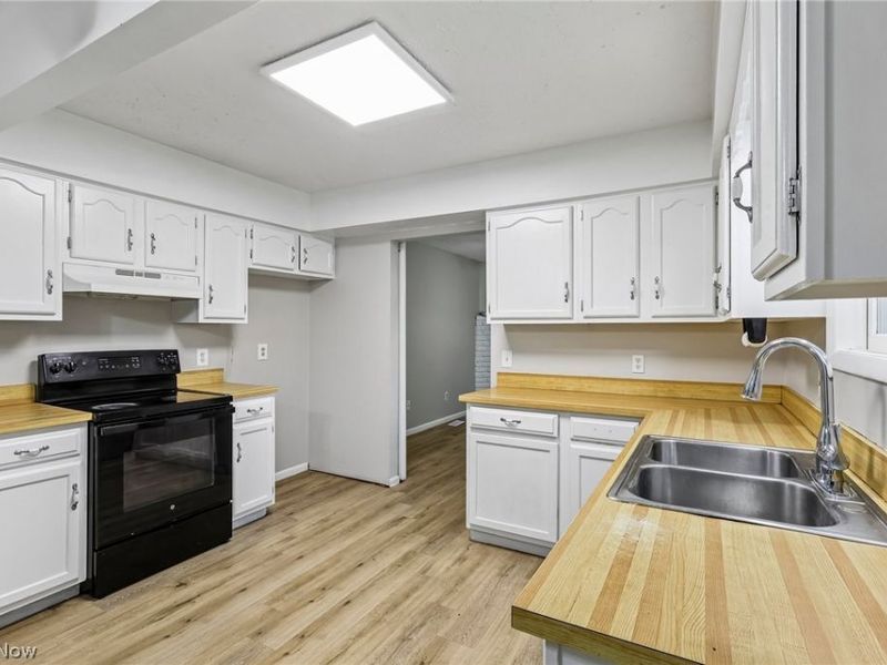 8278 Dallas Drive, Mentor, OH 44060 Photo 3