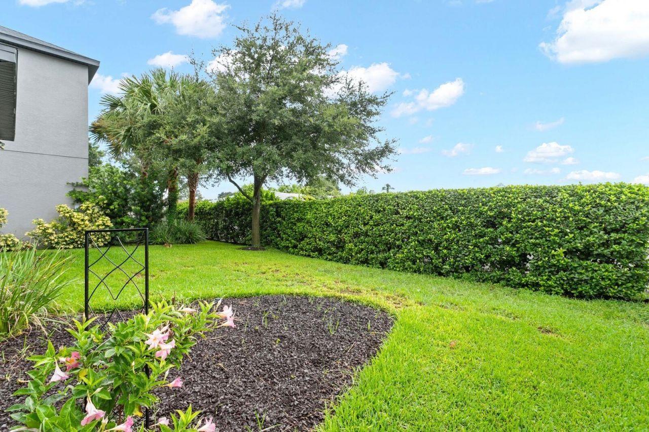 8524 Arabella Lane, Seminole, FL 33777 Photo