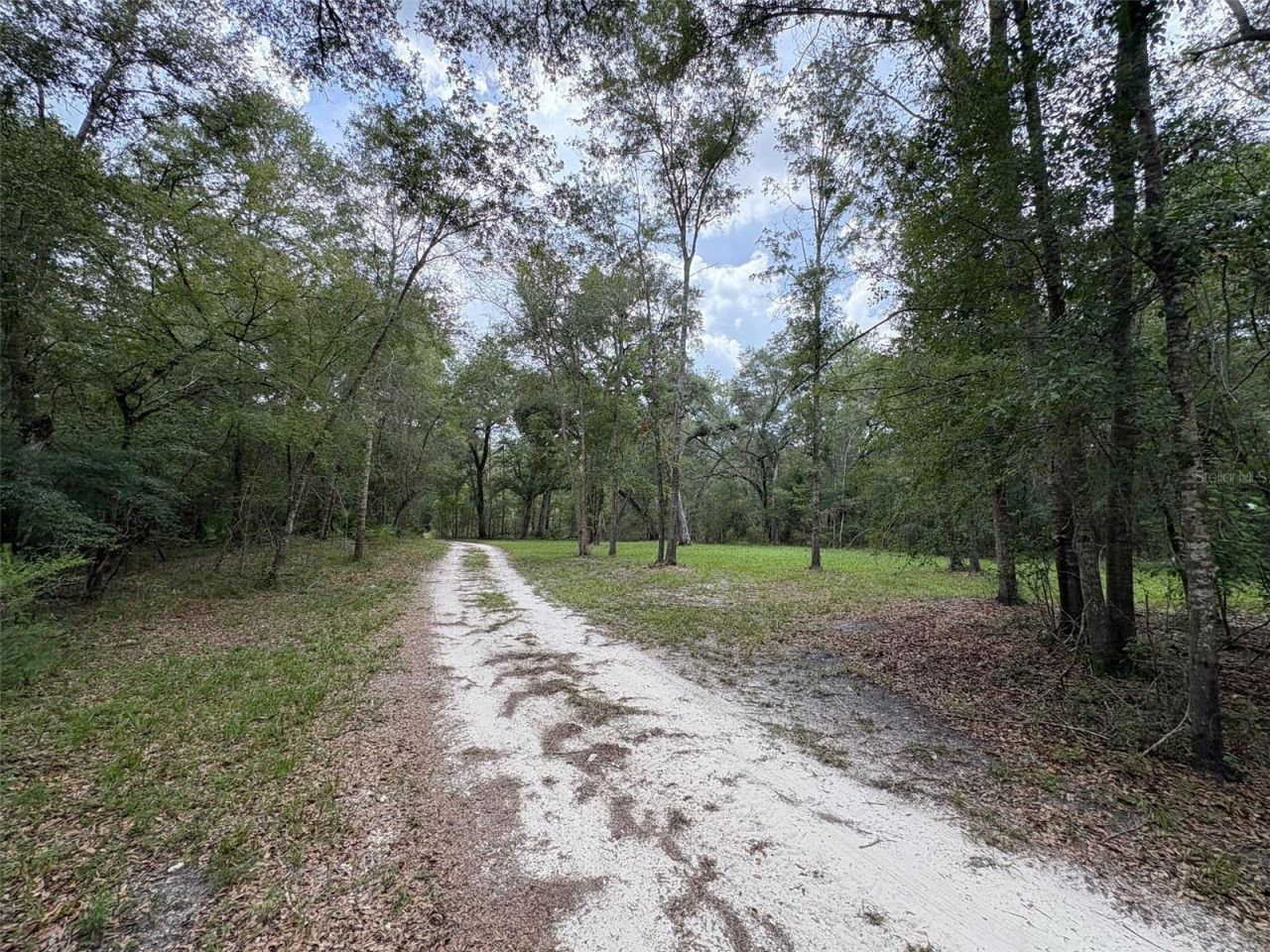 1525 NE 930th Street, Old Town, FL 32680 Photo