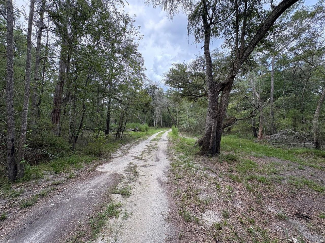 1551 NE 930th Street, Old Town, FL 32680 Photo