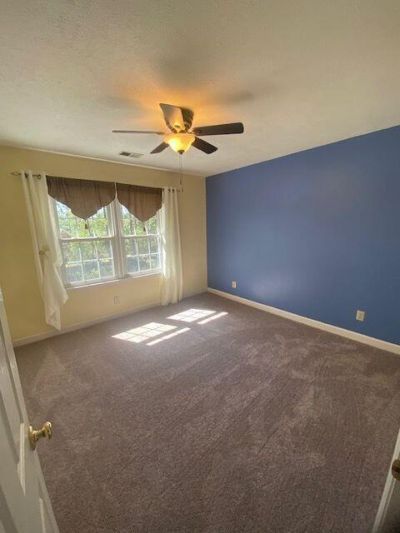 118 Sassafras Road Photo 13