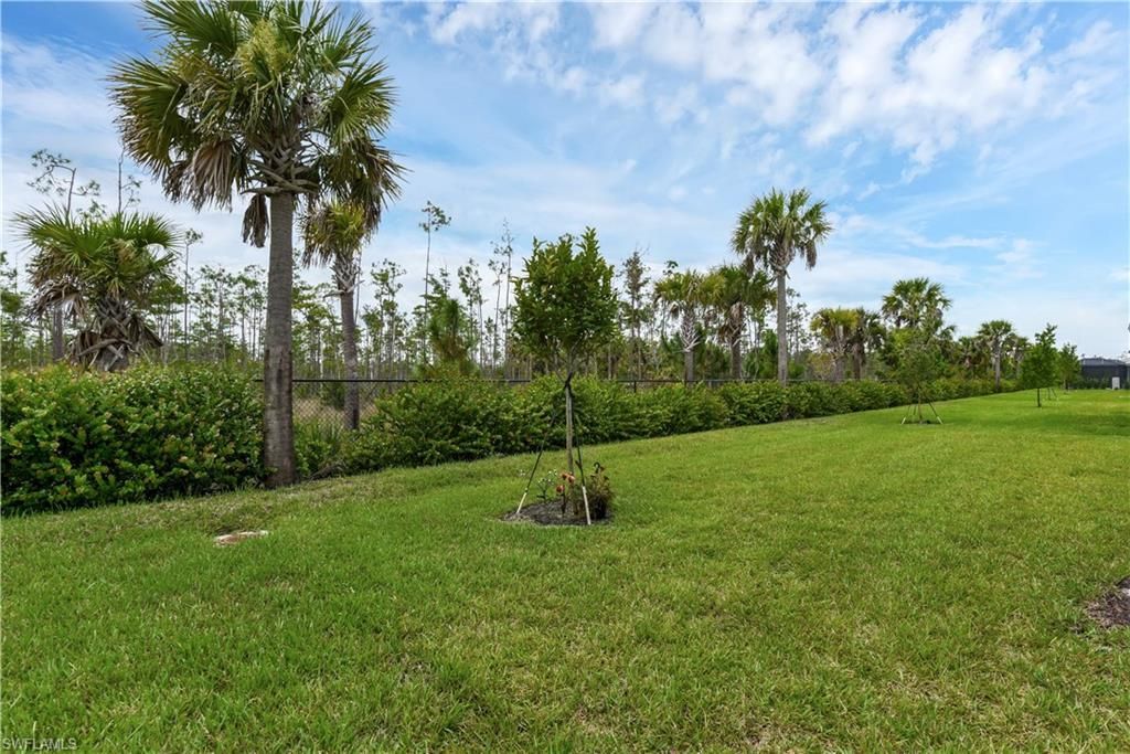 20678 Fair Oak Ln, Estero, FL 33928 Photo