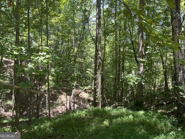 N/A S Twin Oaks Drive, Ellijay, GA 30540