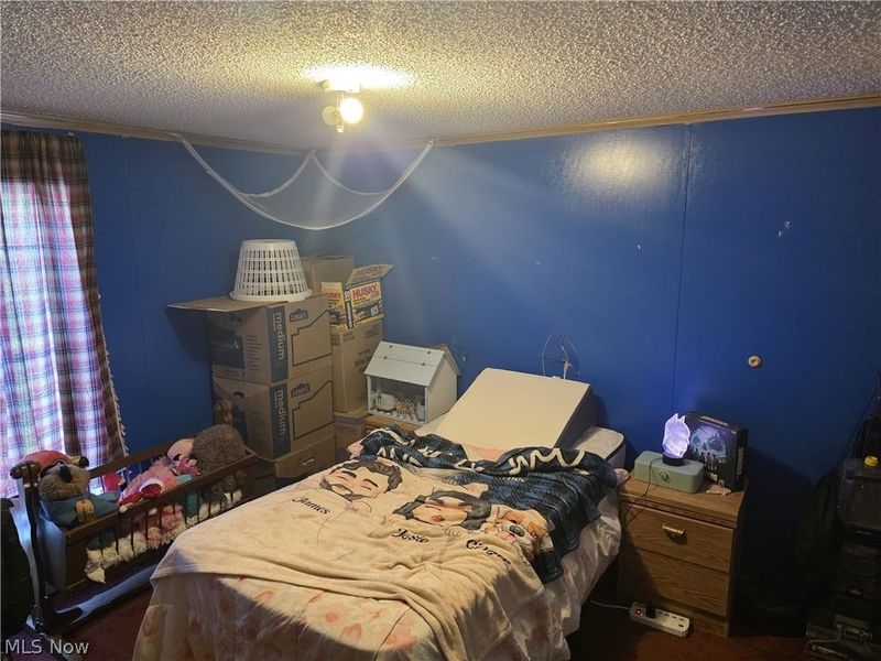 10154 Lady Catherine Court, Streetsboro, OH 44241 Photo 16