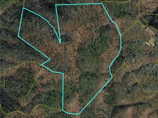 TBD Vannoy Road , McGrady, NC 28649
