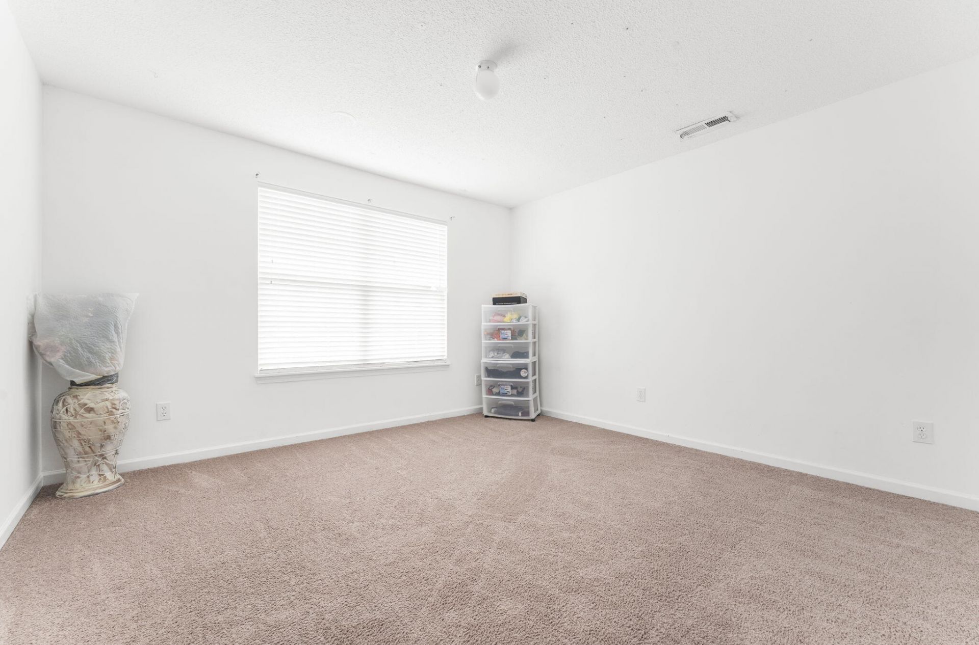 165 Black River Drive Photo 23