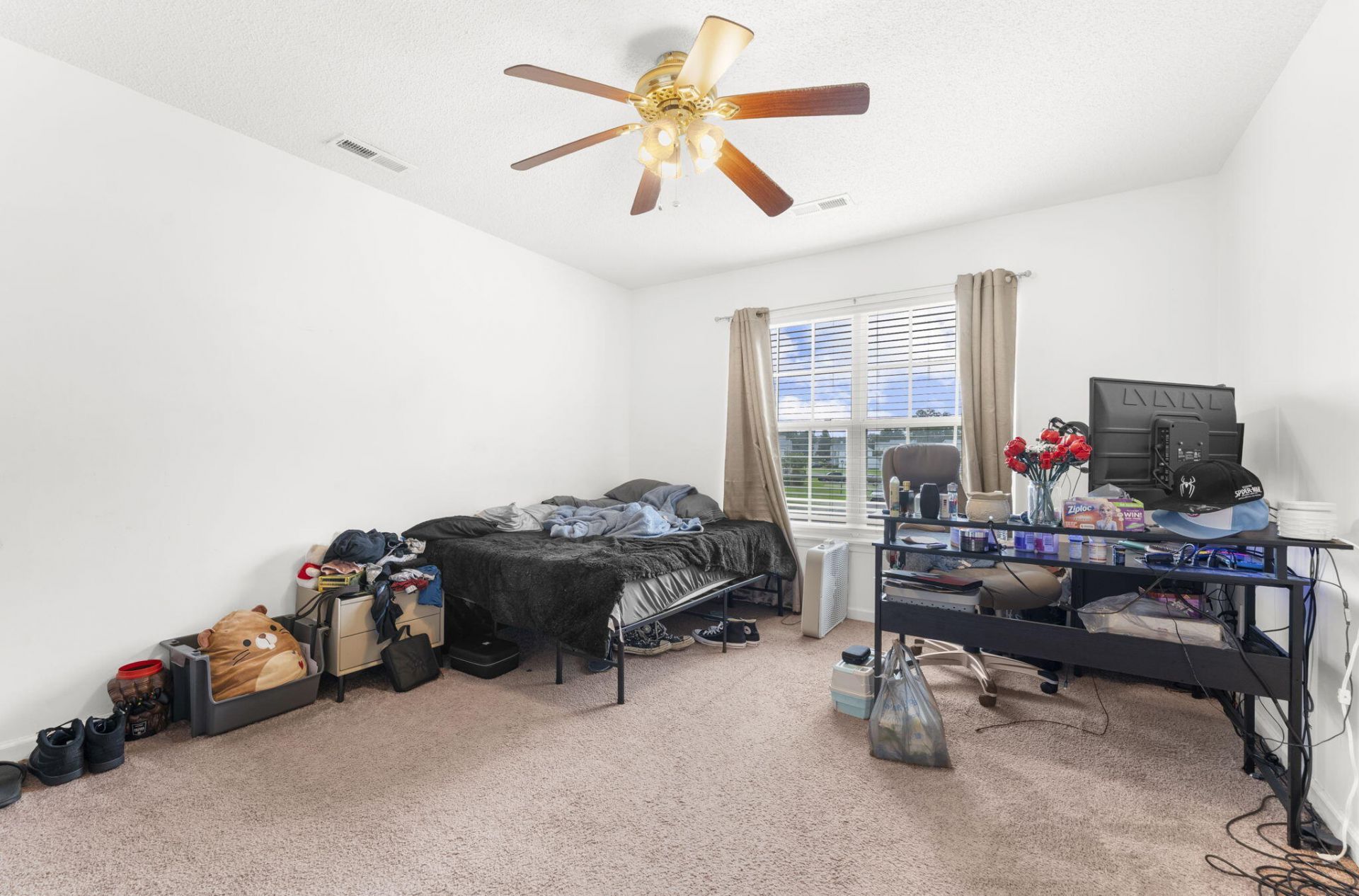 165 Black River Drive Photo 25