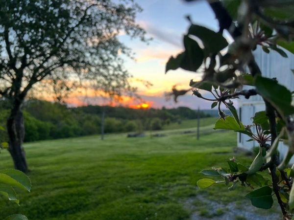 3271 Dover Road, Augusta, KY 41002