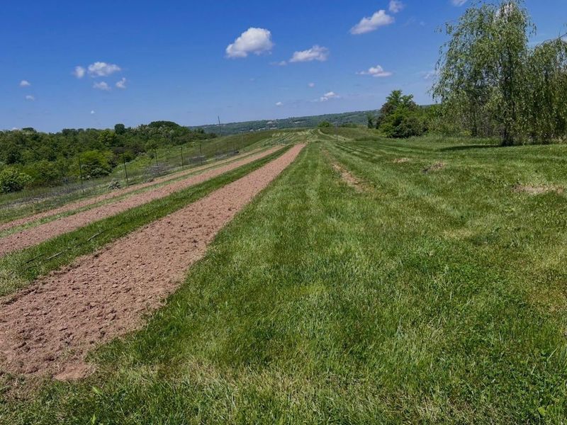 3271 Dover Road, Augusta, KY 41002 Photo 47