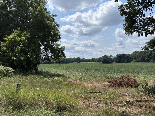 0000 Jacob Road, Grass Lake, MI 49240