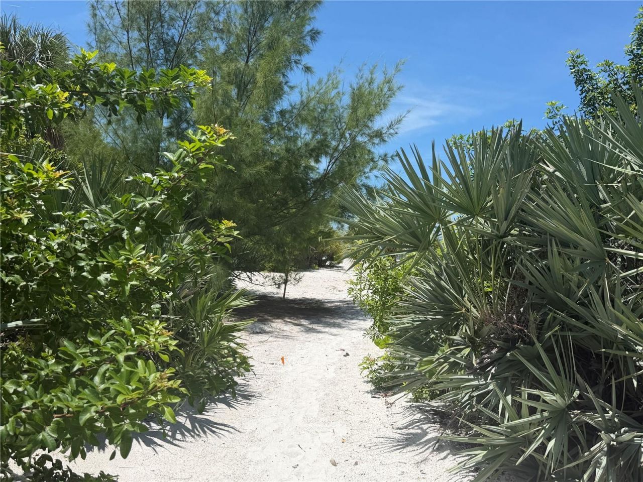 1475 John Ringling Parkway, Sarasota, FL 34236 Photo