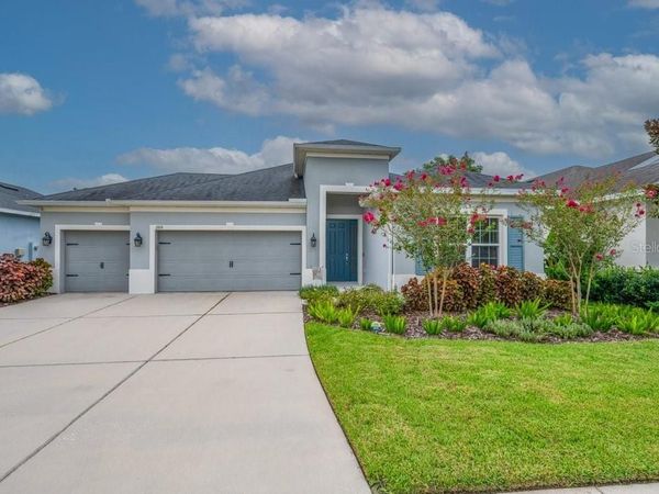 17651 BRIGHT WHEAT DRIVE , LITHIA, FL 33547