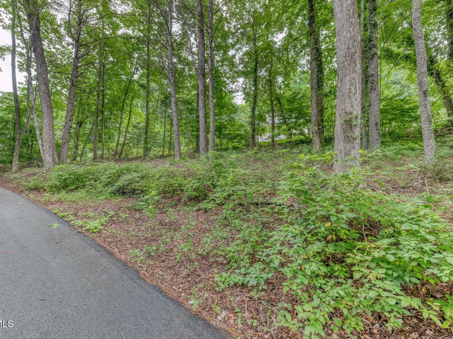 Property Image 61