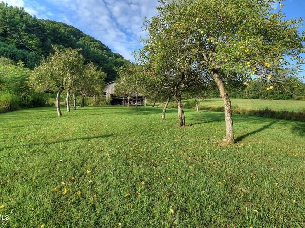 1841 Rice Creek Road, Flag Pond, TN 37657