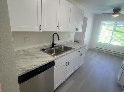 3947 Clear Acre Lane, Unit APT 303, Reno, NV 89512 Photo