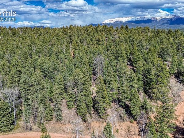 3075 N Mountain Estates Road, Florissant, CO 80816