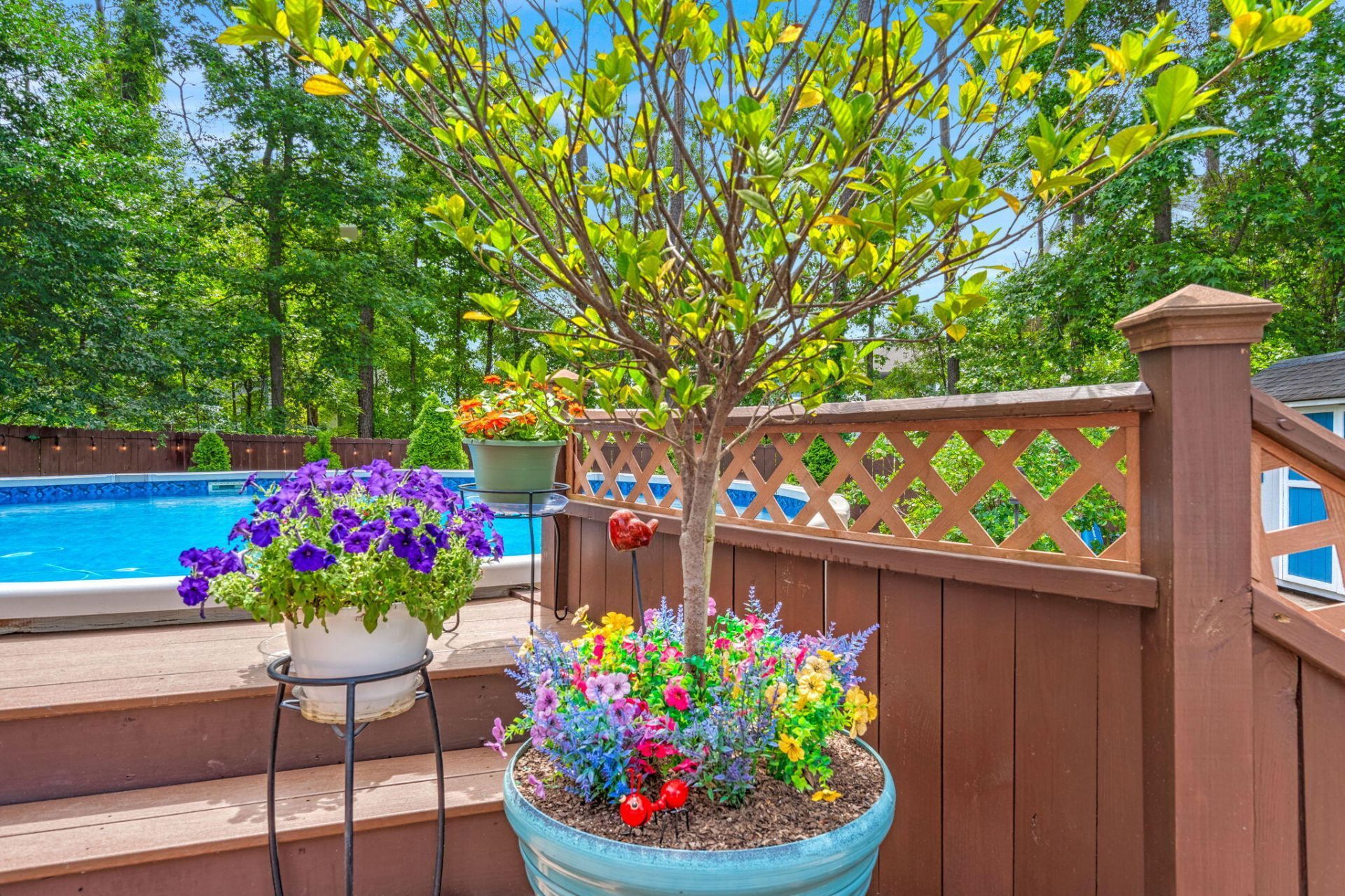 4292 Lavender Lane Photo 35