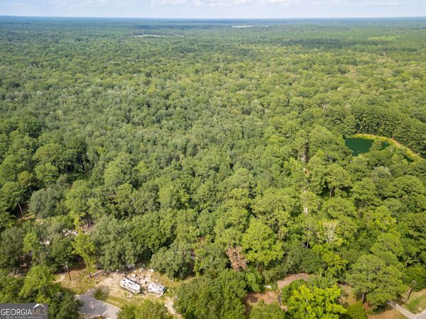 920 Pine Needle Drive, Ellabell, GA 31308