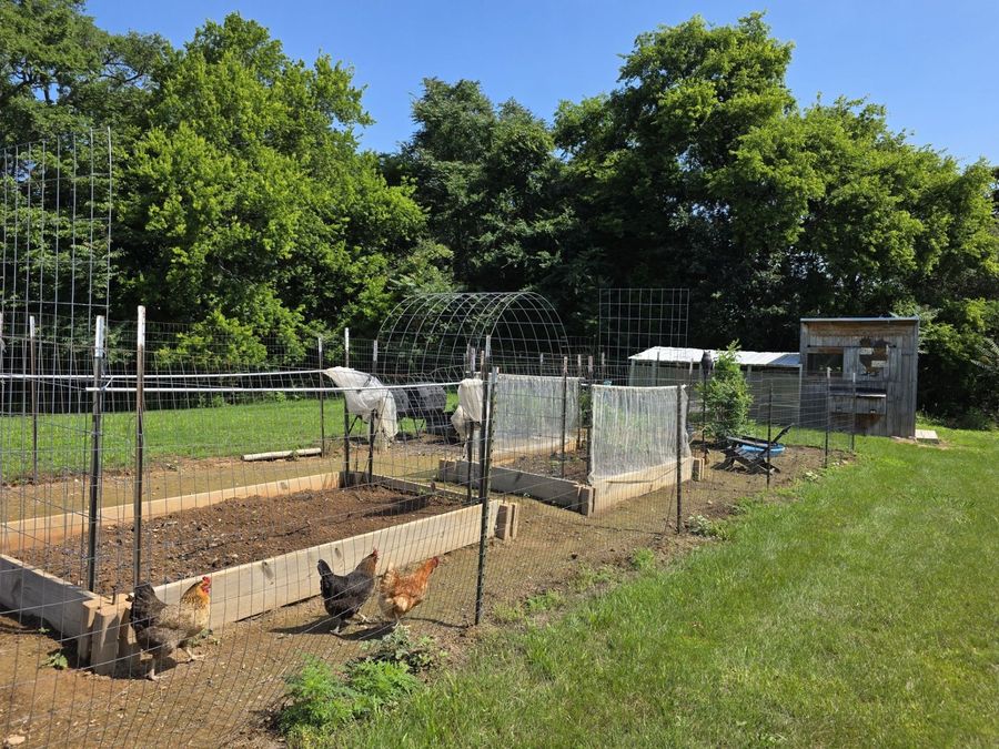 Property Image 44
