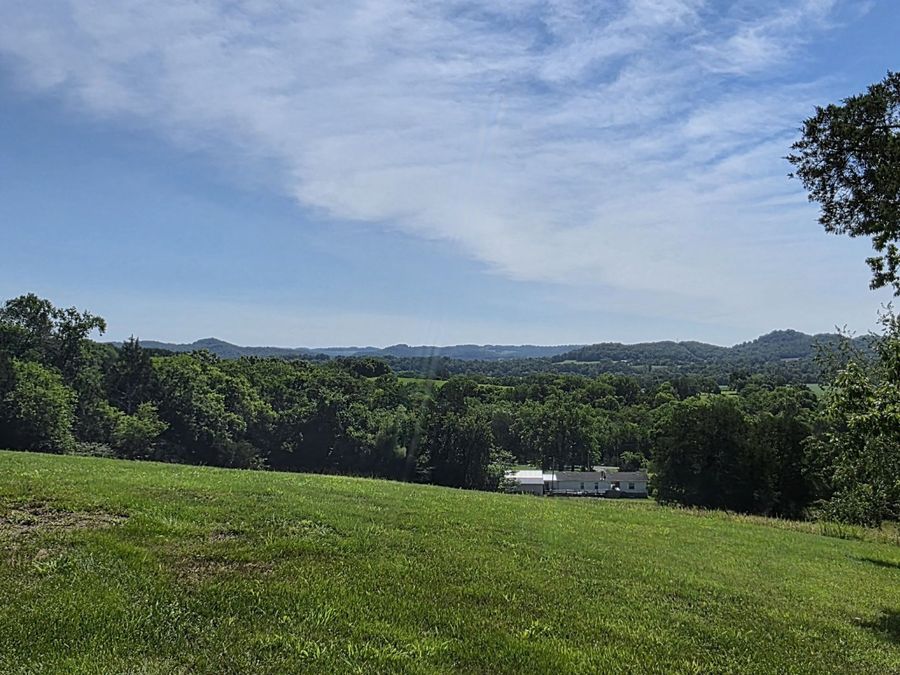 Property Image 52