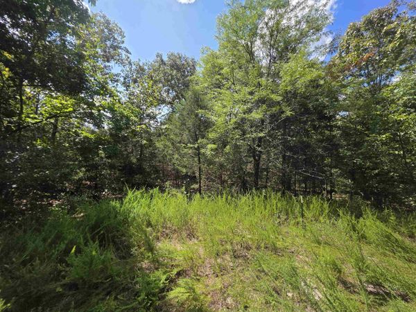 L20B5 Canute Drive , Cherokee Village, AR 72529
