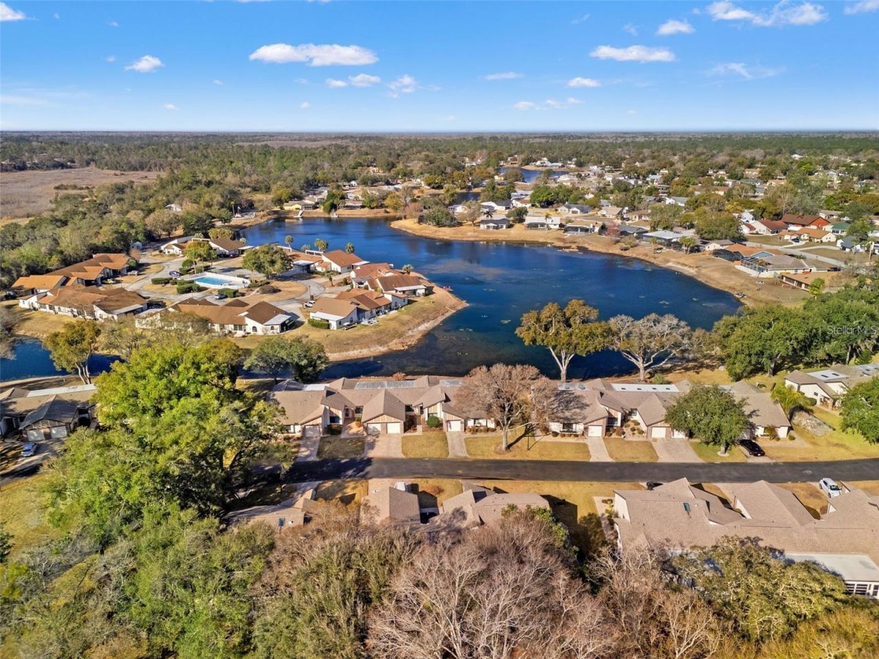 7427 Heather Walk Drive, Weeki Wachee, FL 34613 Photo