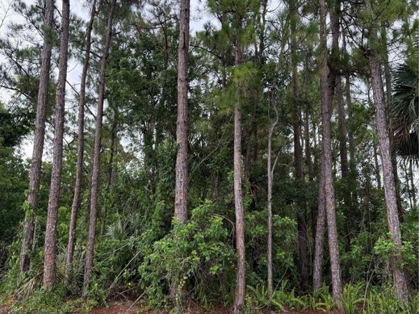 2361 SAN FILIPPO DRIVE SE, PALM BAY, FL 32909