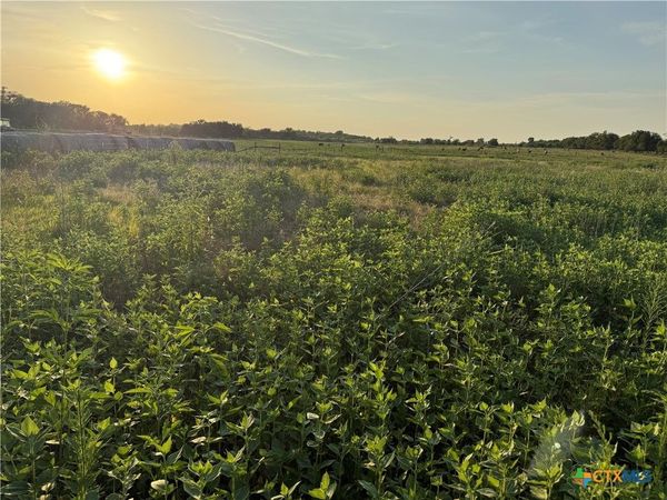 153 County Road 243 , Kosse, TX 76653