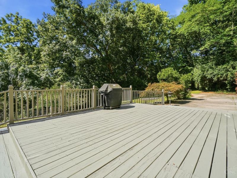 3282 Alpine Terrace, Pierce Twp, OH 45157 Photo 59