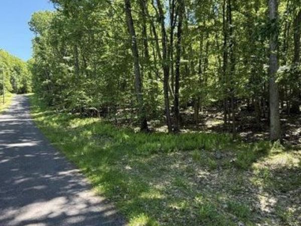 PAPER BIRCH N , TAFTON, PA 18464