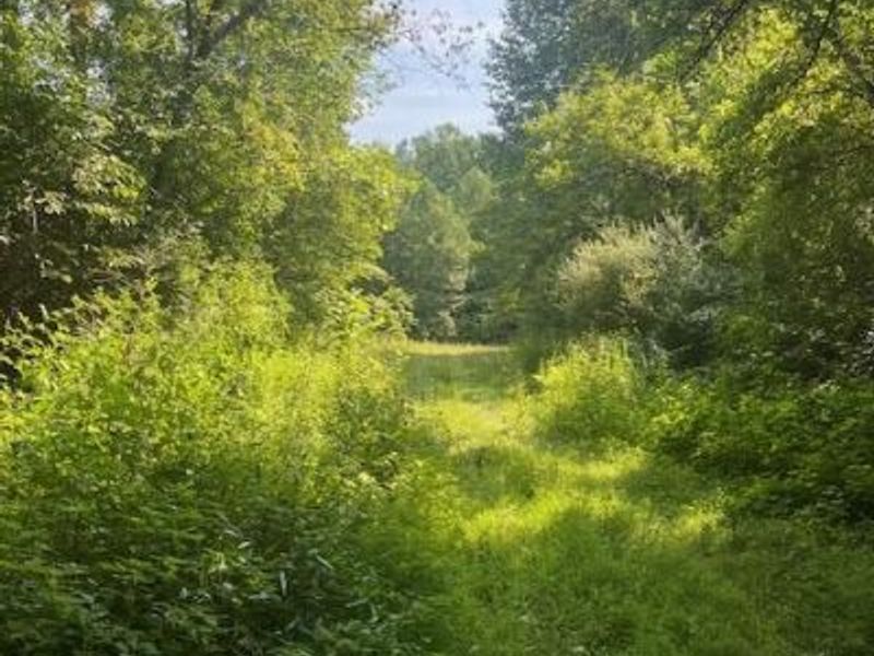 8576 Dillman Road, Camden, OH 45311 Photo 52