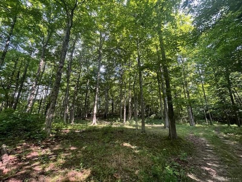 8576 Dillman Road, Camden, OH 45311 Photo 58