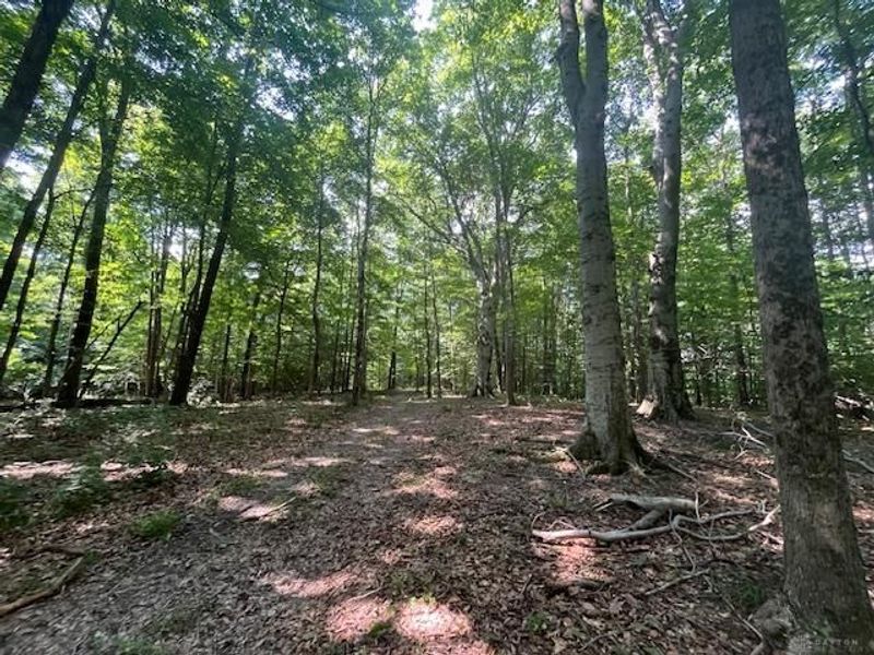 8576 Dillman Road, Camden, OH 45311 Photo 59