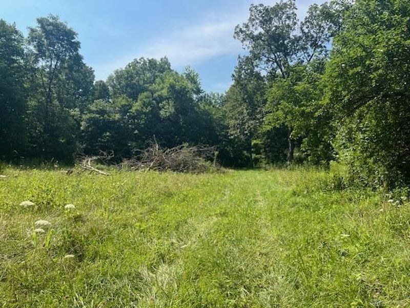 8576 Dillman Road, Camden, OH 45311 Photo 61